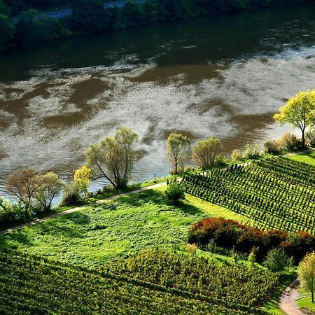 Weingut Helmut Barzen Daire Zell an der Mosel Dış mekan fotoğraf