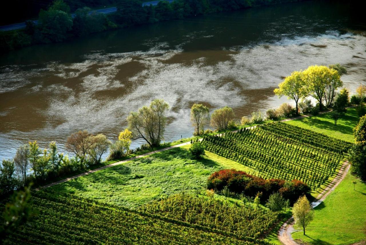 Weingut Helmut Barzen Daire Zell an der Mosel Dış mekan fotoğraf