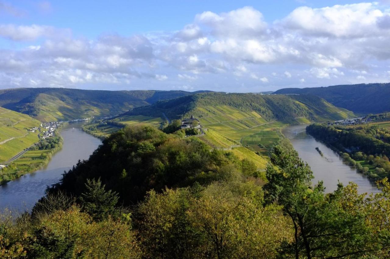Weingut Helmut Barzen Daire Zell an der Mosel Dış mekan fotoğraf